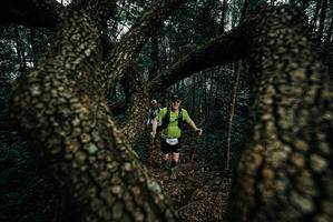 BIB: 
                            <button type="button" onclick="openModal(25692101)" class="btn btn-primary btn-sm float-right btn-popup" data-toggle="modal" data-target=".modal-high-quality">
                        <i class="fas fa-shopping-cart"></i> Add to Cart
                    </button>
                                            <button type="button" onclick="isThisMe(25692101, true)" class="btn btn-success btn-sm float-right btn-popup btn-isme hidden" data-toggle="tooltip" data-placement="bottom" title="นี่คือรูปของคุณใช่ไหม คลิกที่นี่เพื่อเอาเข้าอัลบั้ม">
                        <i class="fas fa-plus"></i> Add to album
                    </button>
                    <button type="button" onclick="isThisMe(25692101, false)" class="btn btn-warning btn-sm float-right btn-popup btn-isnotme hidden">
                        <i class="fas fa-ban"></i> Remove from album
                    </button>